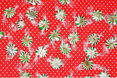 《如龙维新！极》“另一种生活”预告 2月22日发售