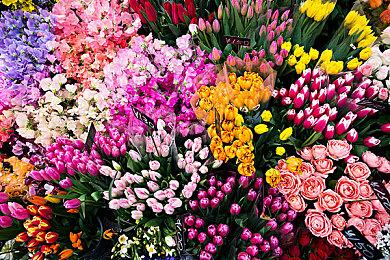 《合金弹头：战略版》IGN 8分 致敬经典、引入创新