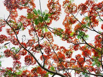 《绝地潜兵2》打破游戏界常态 三周后销量仍在攀升